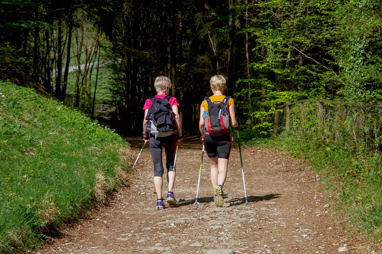 Découvrez les bienfaits de la marche nordique pour maigrir et tonifier le corps sports 3340697 1280